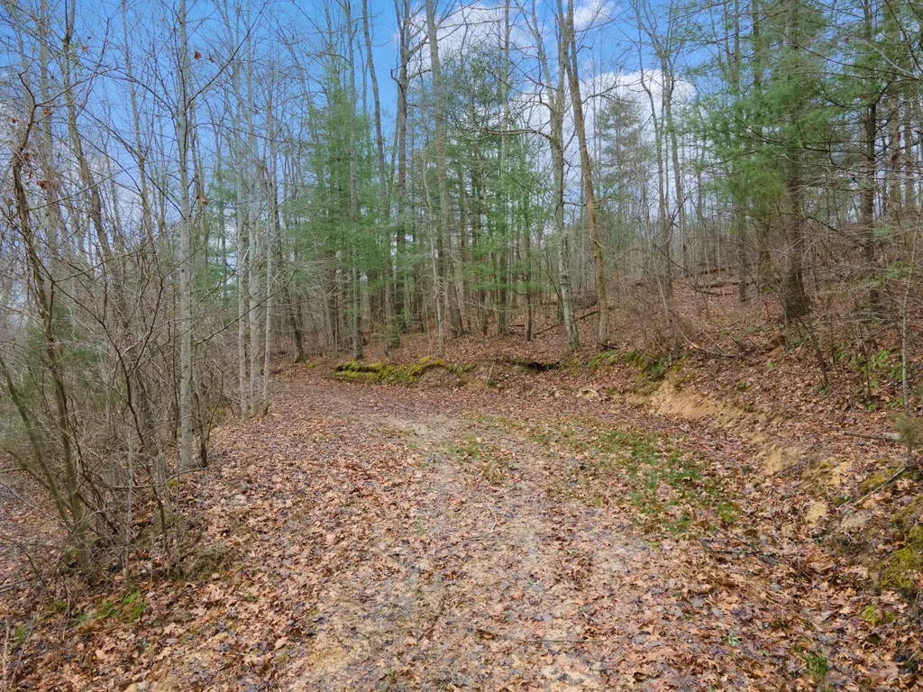 1537 High Rock Road Stanton KY 40380