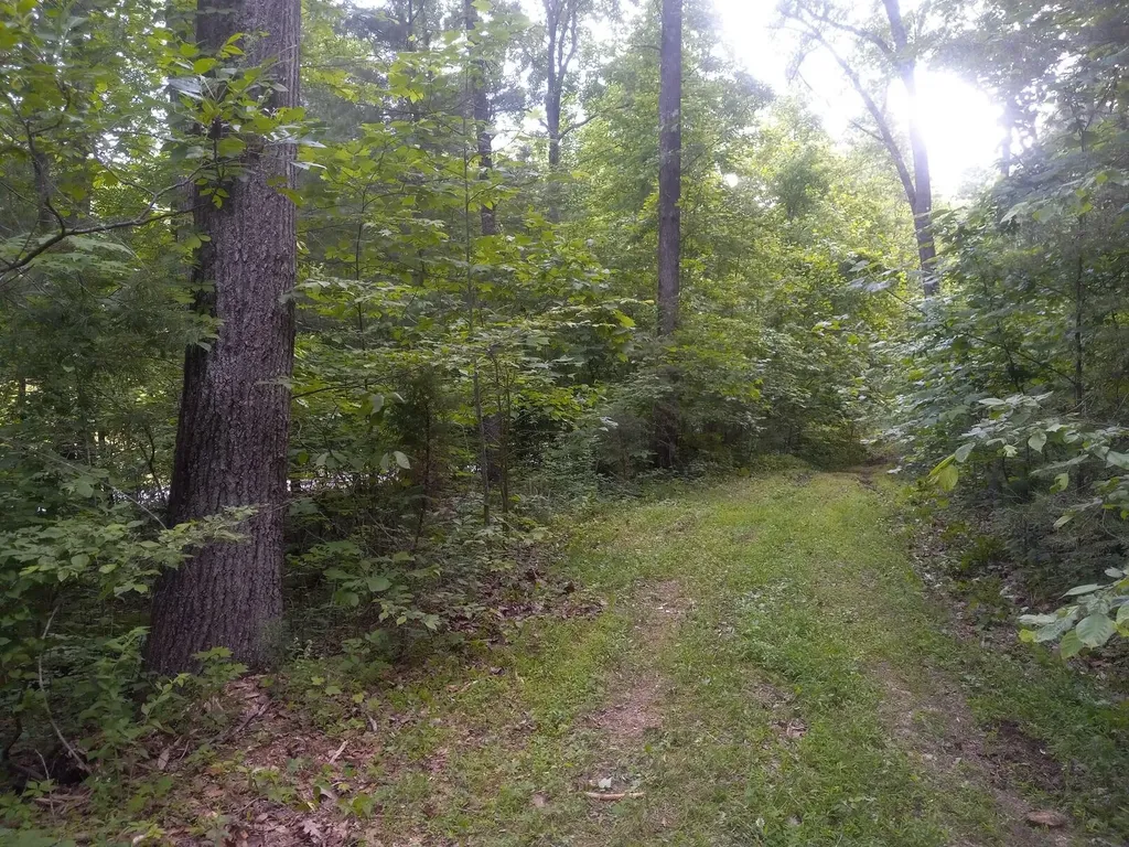 1537 High Rock Road Stanton KY 40380
