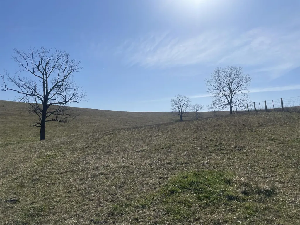 251 Finnell Pike Cynthiana KY 41031