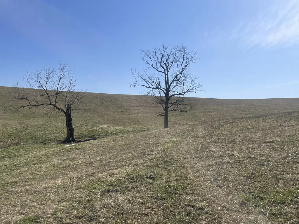 251 Finnell Pike Cynthiana KY 41031