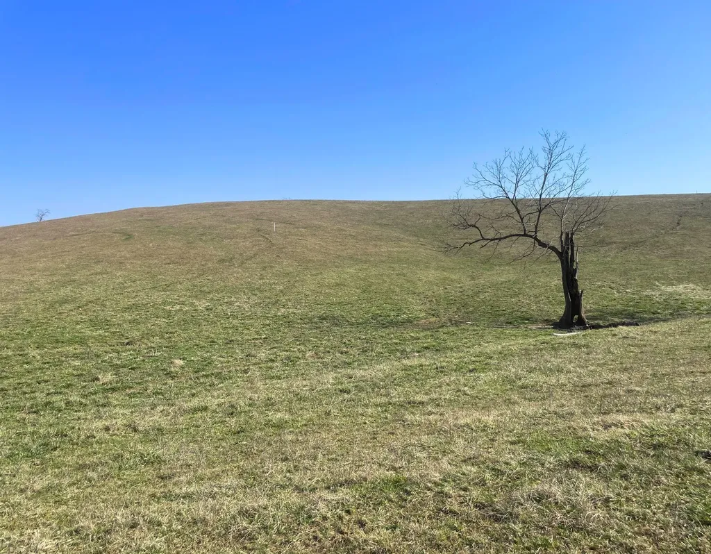 251 Finnell Pike Cynthiana KY 41031