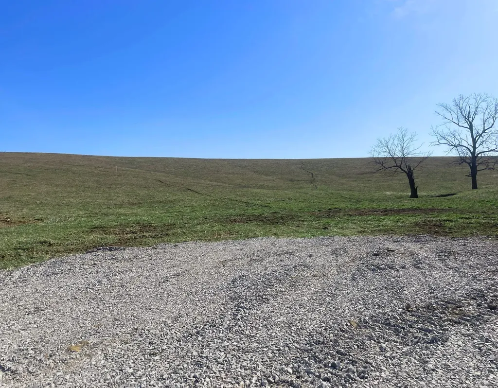 251 Finnell Pike Cynthiana KY 41031