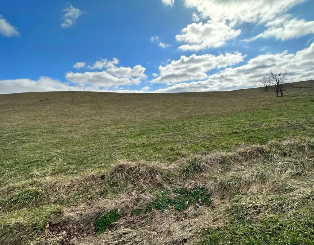 251 Finnell Pike Cynthiana KY 41031
