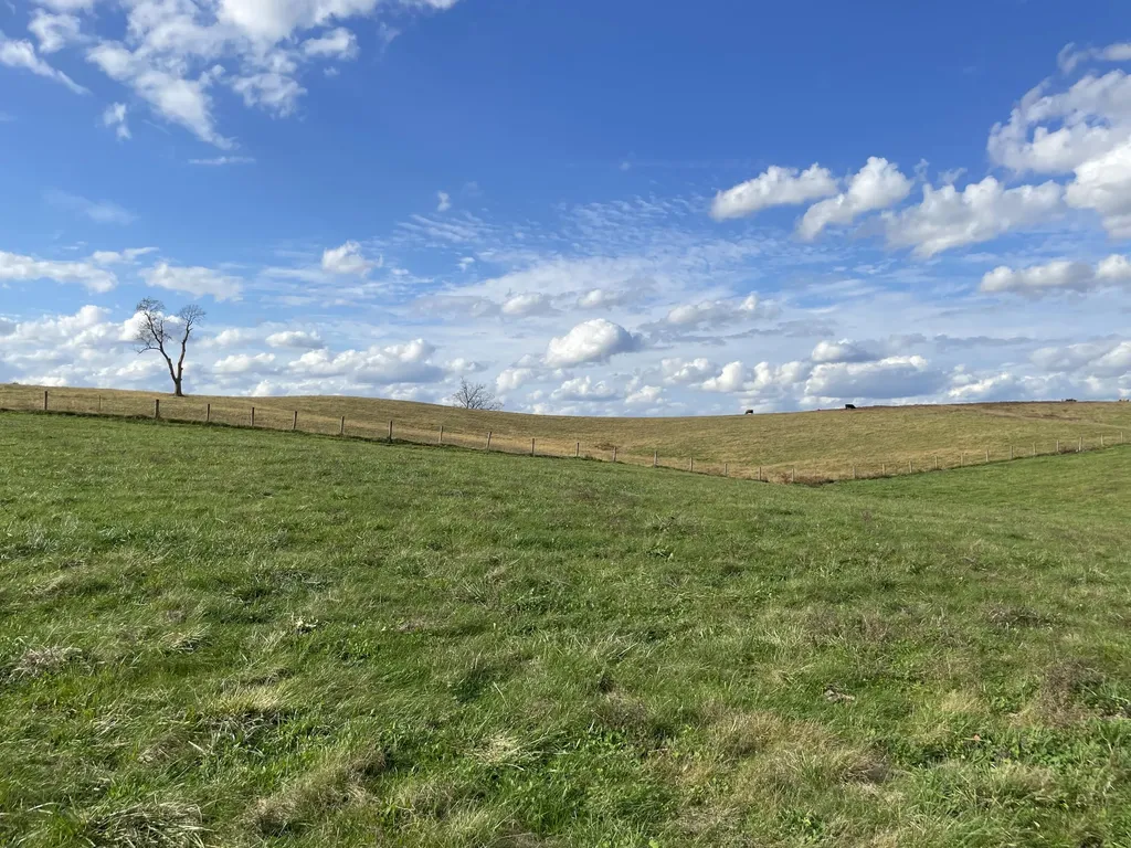 251 Finnell Pike Cynthiana KY 41031