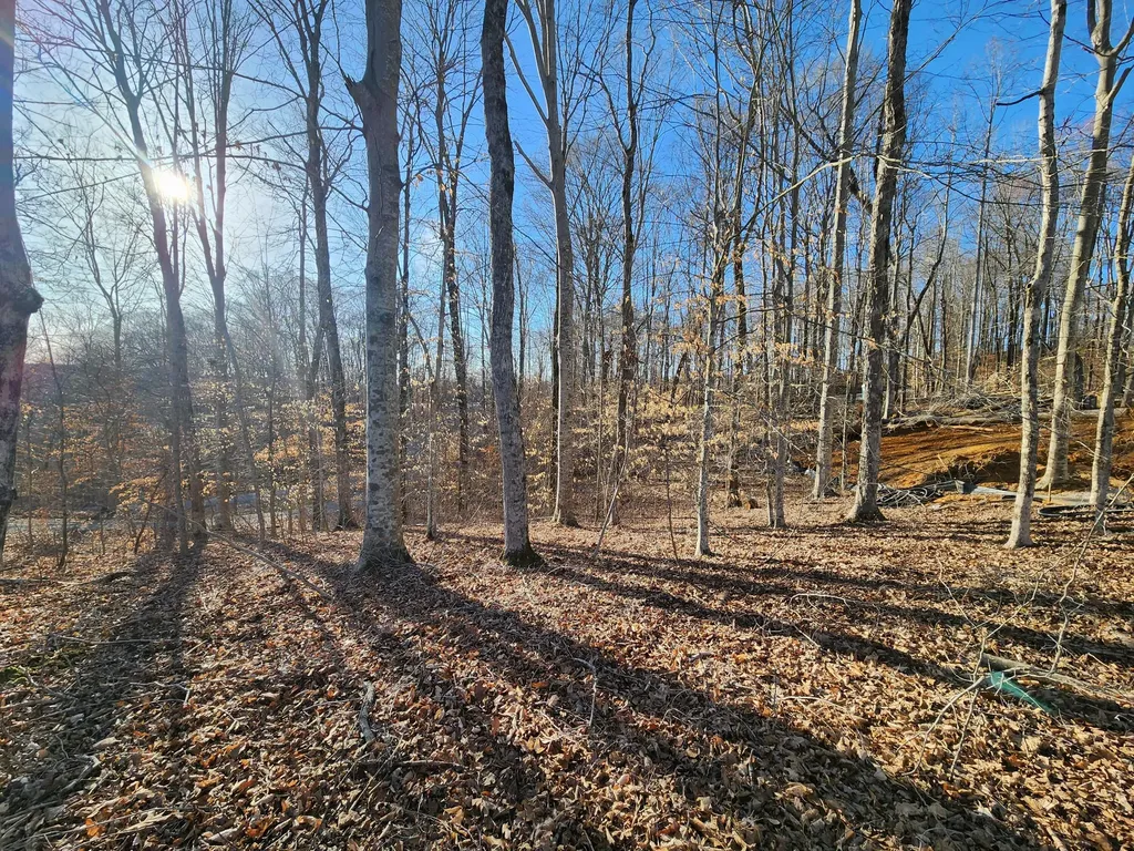 620 Griffin Trail Albany KY 42602