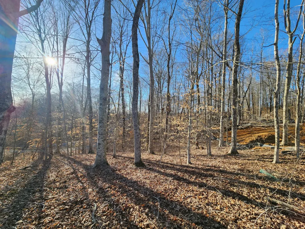 620 Griffin Trail Albany KY 42602