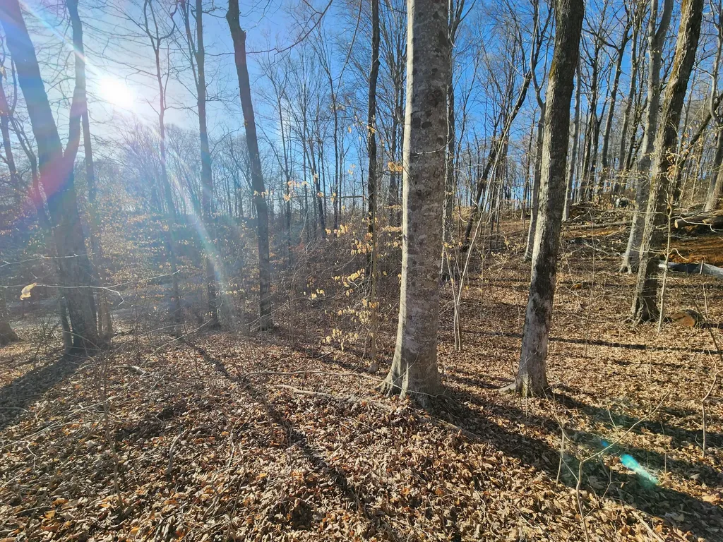620 Griffin Trail Albany KY 42602