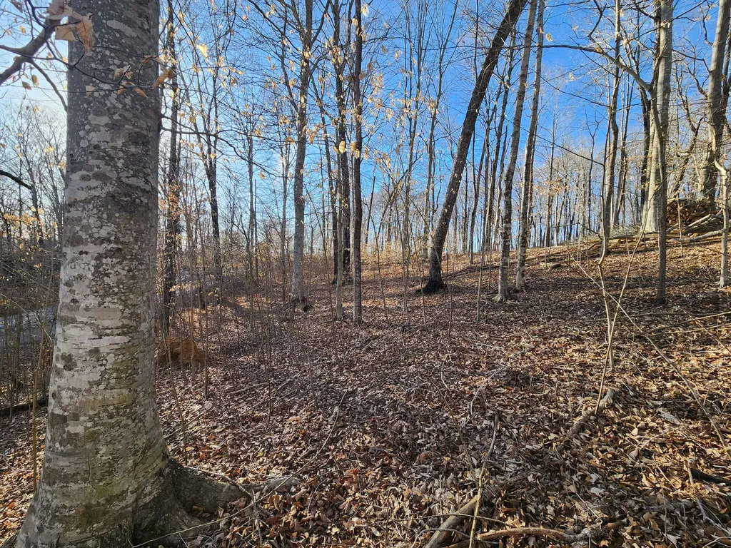 620 Griffin Trail Albany KY 42602