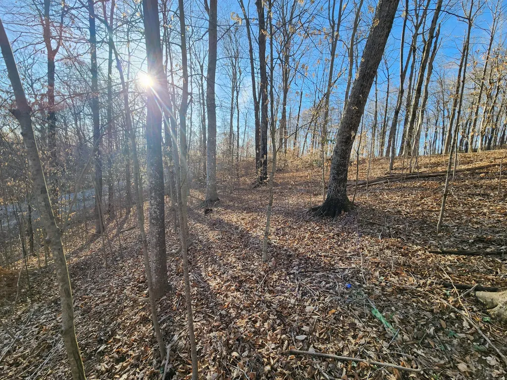 620 Griffin Trail Albany KY 42602
