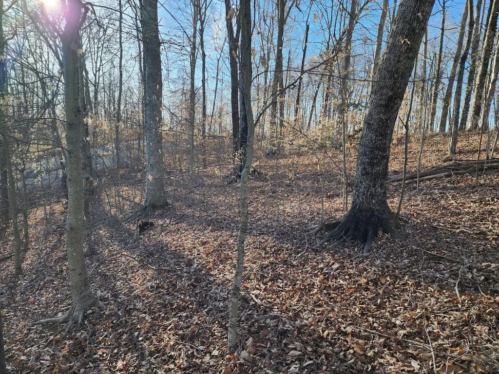 620 Griffin Trail Albany KY 42602
