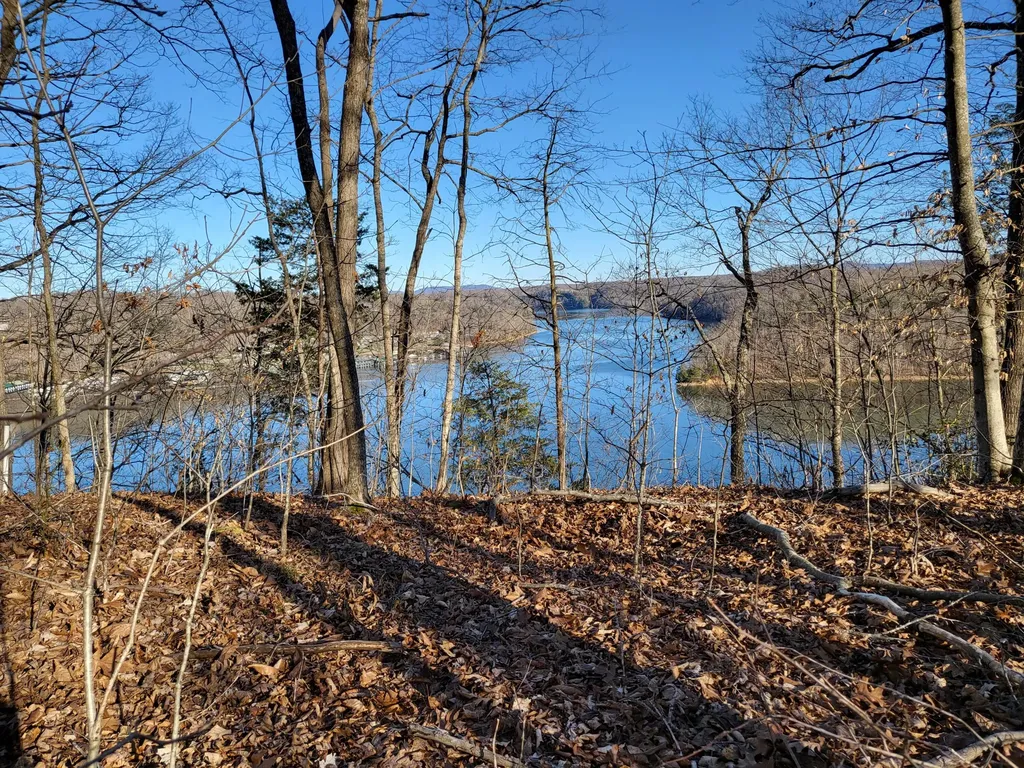 620 Griffin Trail Albany KY 42602