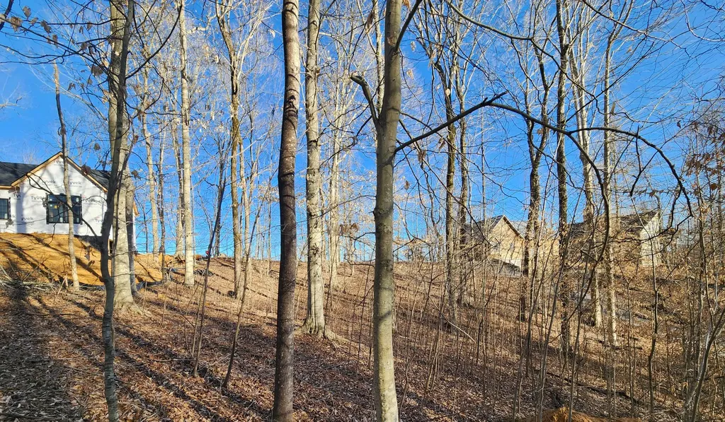 620 Griffin Trail Albany KY 42602