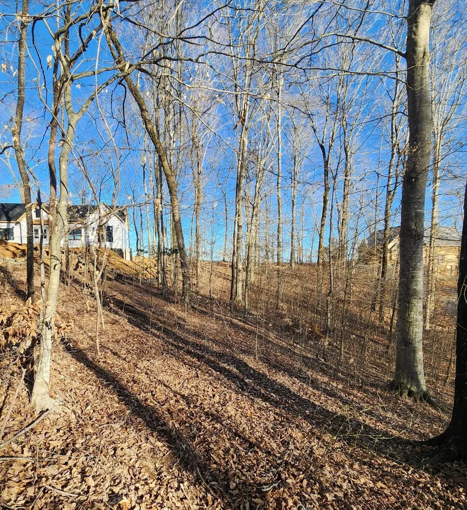 620 Griffin Trail Albany KY 42602