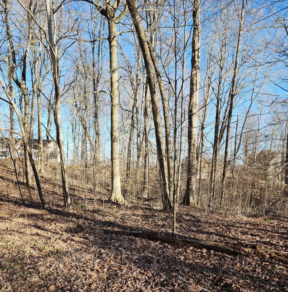 620 Griffin Trail Albany KY 42602