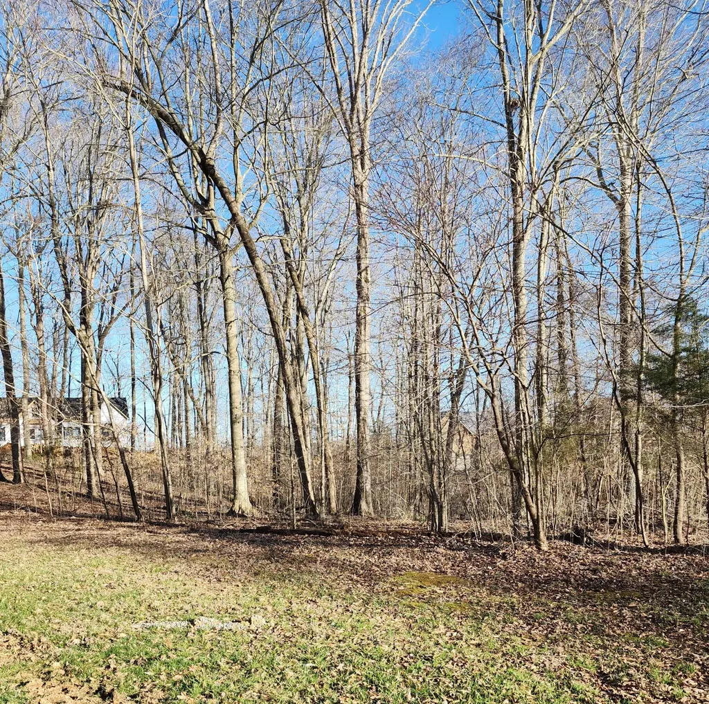 620 Griffin Trail Albany KY 42602