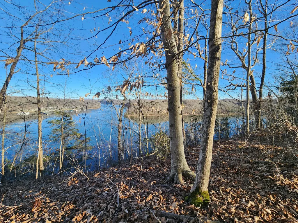 620 Griffin Trail Albany KY 42602