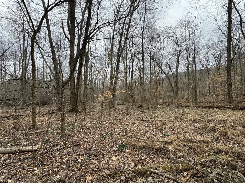0 Hardwood Road Hillsboro KY 41049