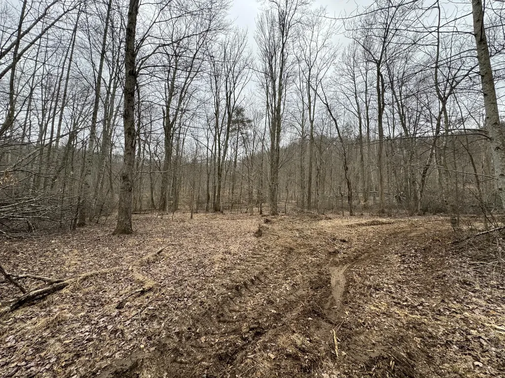 0 Hardwood Road Hillsboro KY 41049