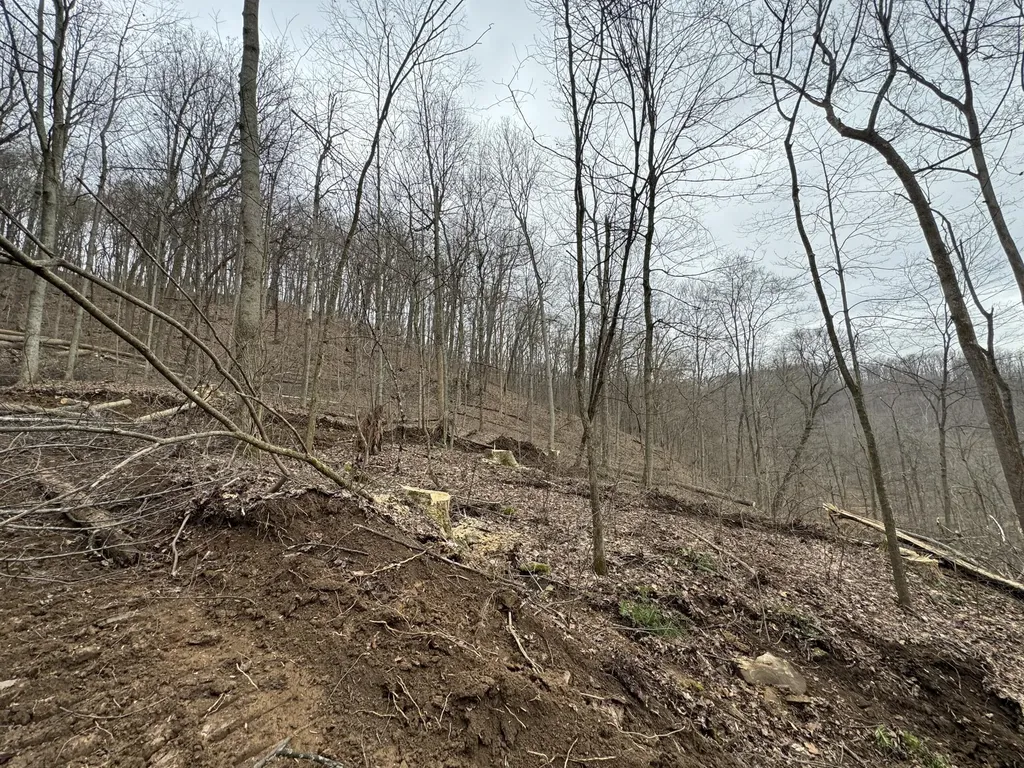 0 Hardwood Road Hillsboro KY 41049
