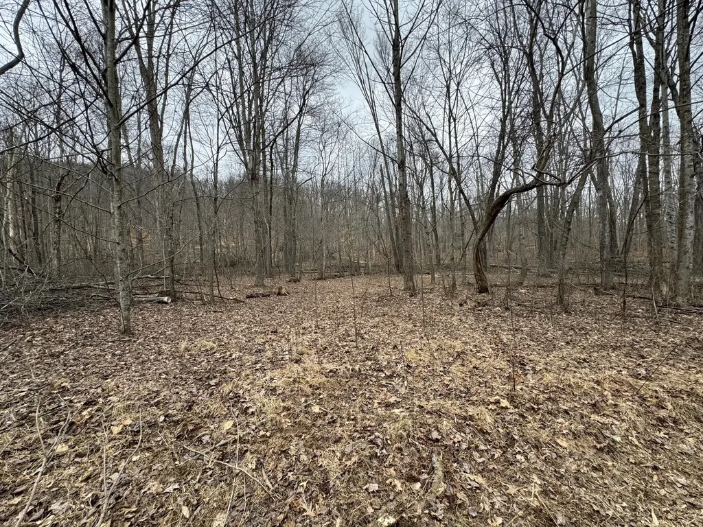 0 Hardwood Road Hillsboro KY 41049