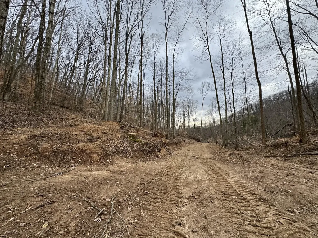 0 Hardwood Road Hillsboro KY 41049