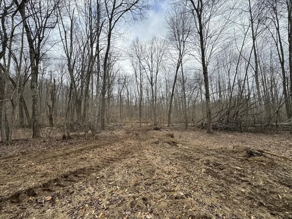 0 Hardwood Road Hillsboro KY 41049