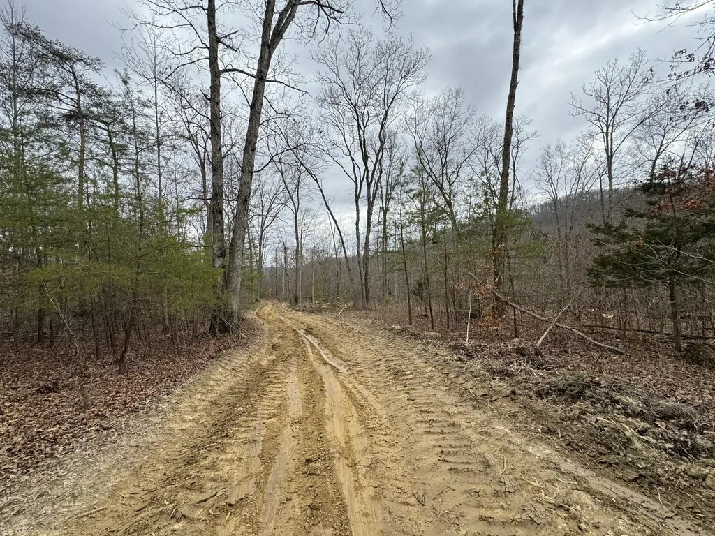 0 Hardwood Road Hillsboro KY 41049