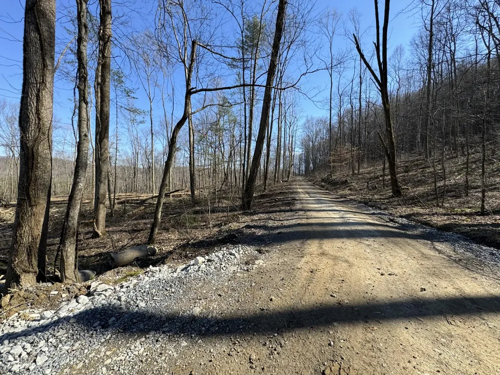 0 Hardwood Road Hillsboro KY 41049