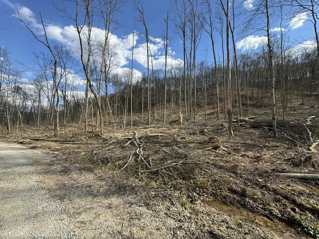 0 Hardwood Road Hillsboro KY 41049