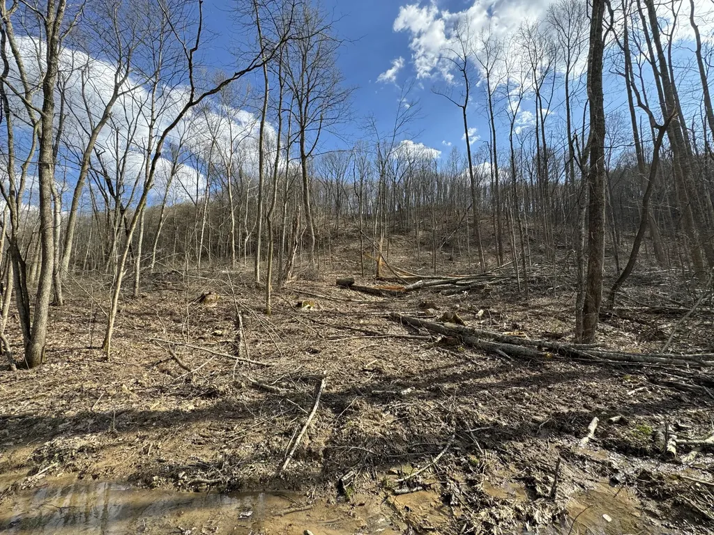 0 Hardwood Road Hillsboro KY 41049