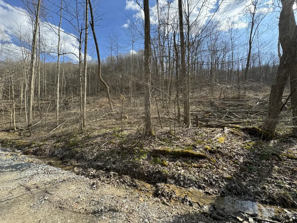 0 Hardwood Road Hillsboro KY 41049