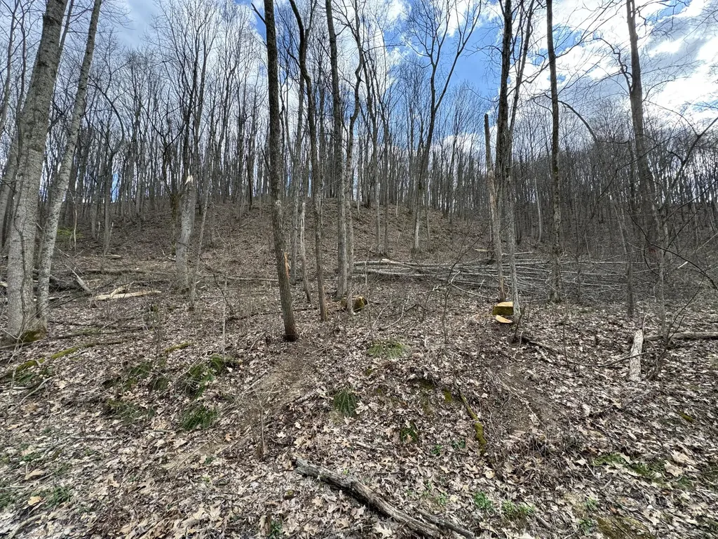0 Hardwood Road Hillsboro KY 41049