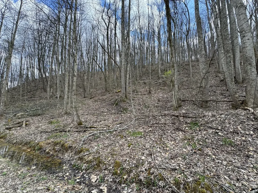 0 Hardwood Road Hillsboro KY 41049