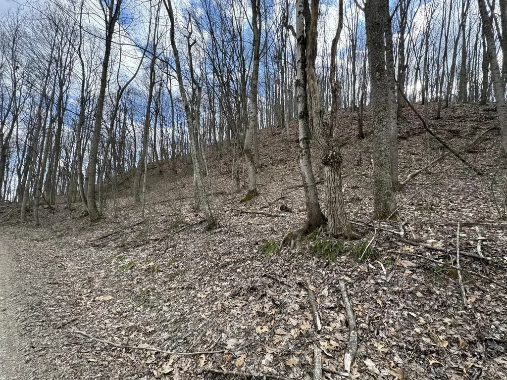 0 Hardwood Road Hillsboro KY 41049