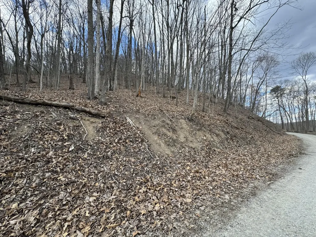 0 Hardwood Road Hillsboro KY 41049