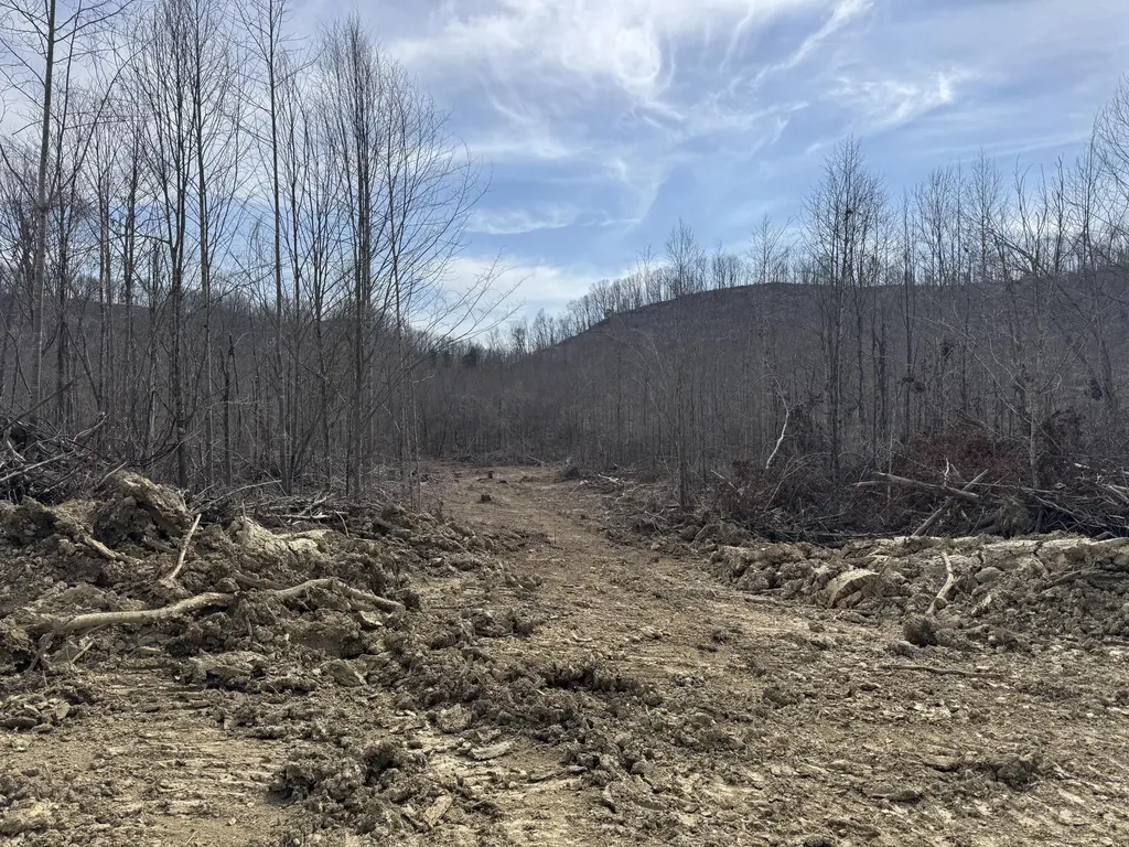 0 Hardwood Road Hillsboro KY 41049