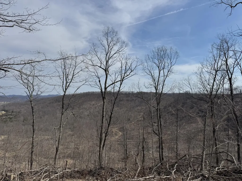 0 Hardwood Road Hillsboro KY 41049