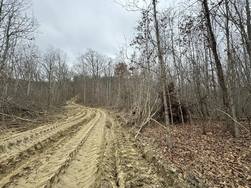 0 Hardwood Road Hillsboro KY 41049