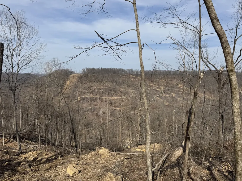0 Hardwood Road Hillsboro KY 41049