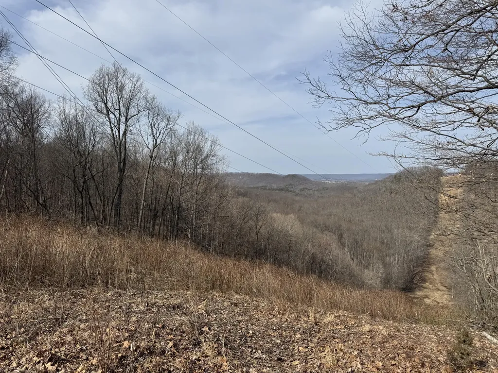 0 Hardwood Road Hillsboro KY 41049