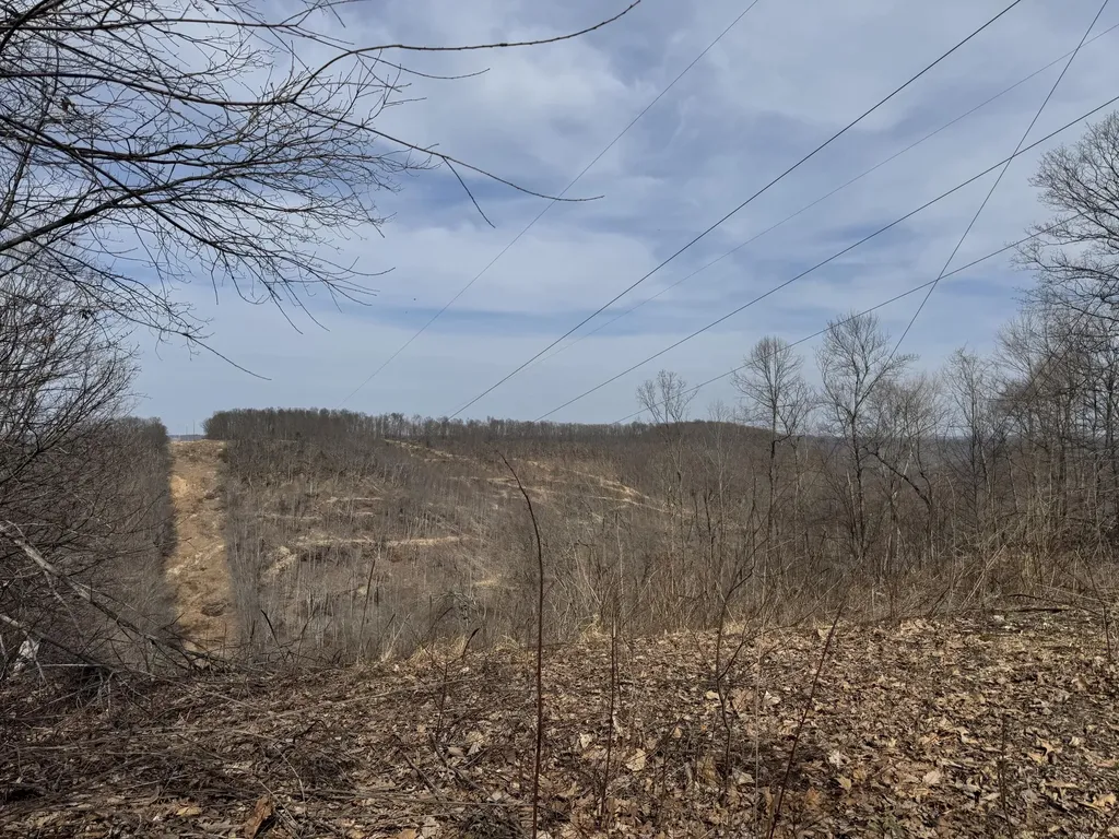 0 Hardwood Road Hillsboro KY 41049