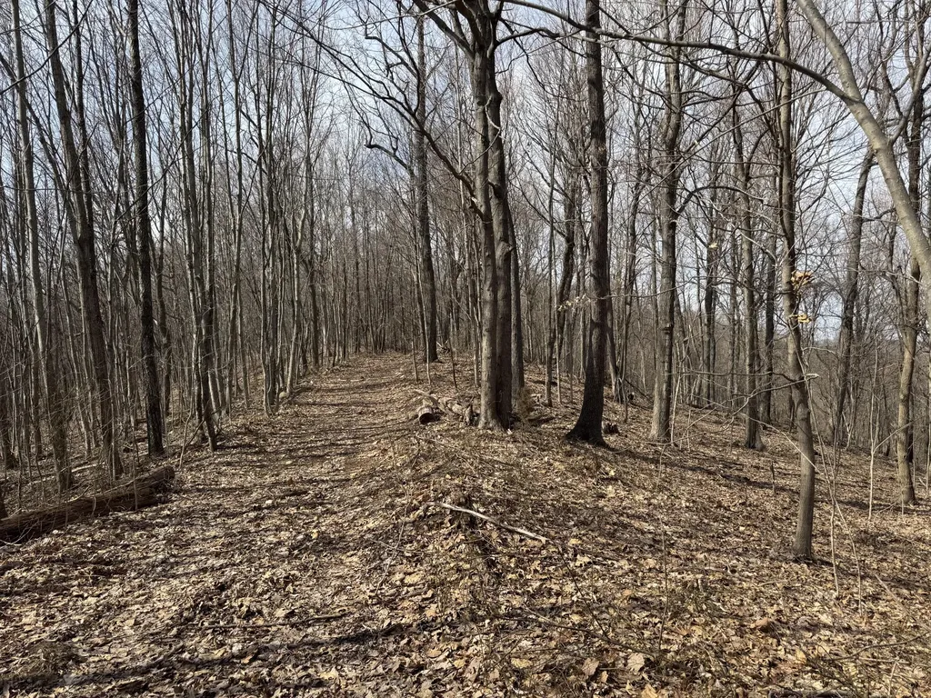 0 Hardwood Road Hillsboro KY 41049