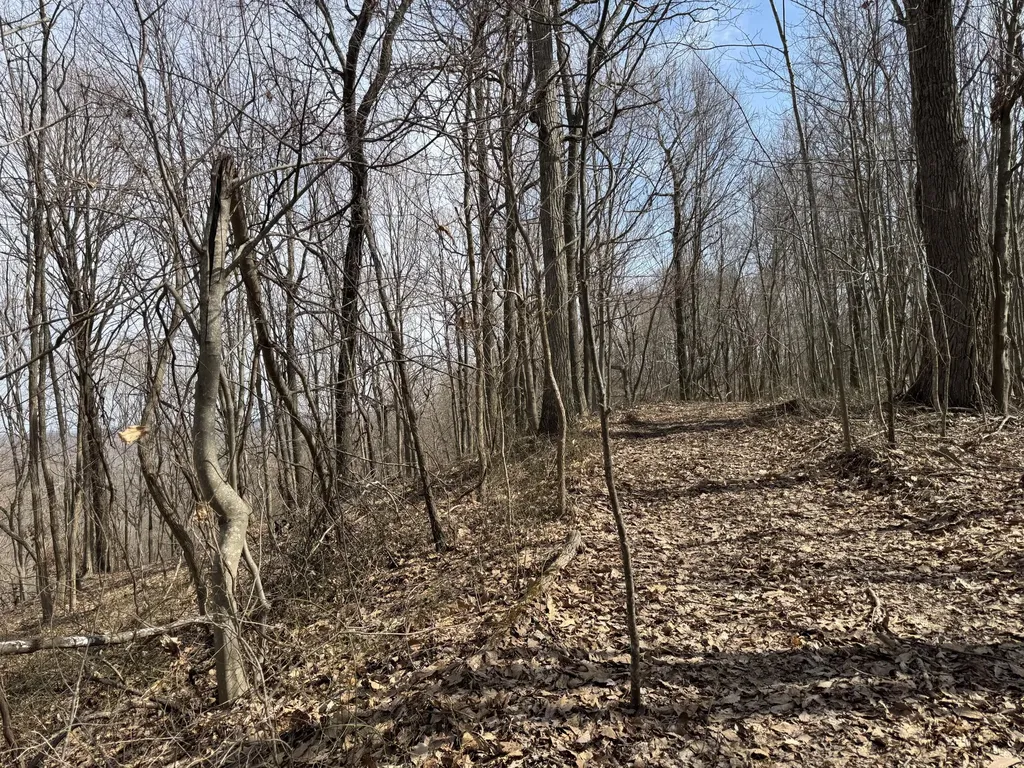 0 Hardwood Road Hillsboro KY 41049