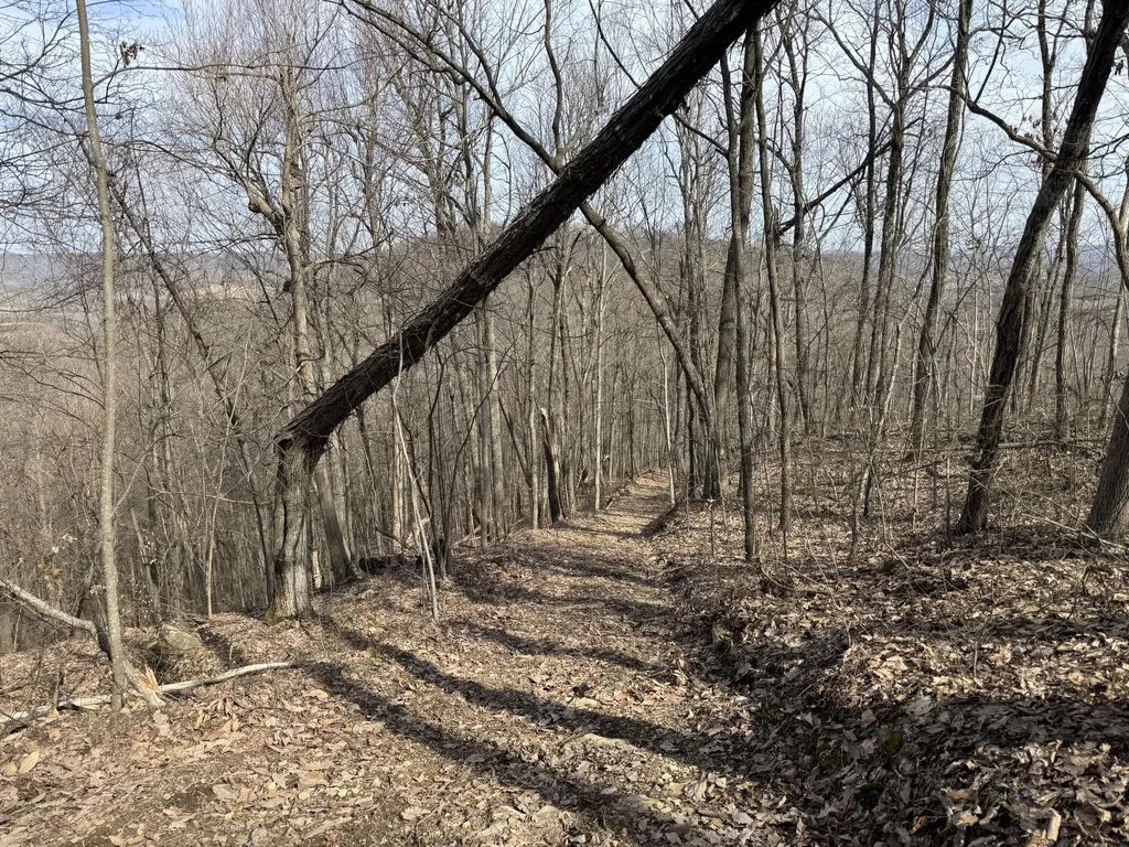 0 Hardwood Road Hillsboro KY 41049