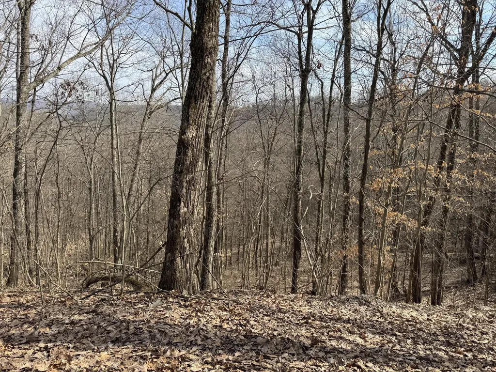 0 Hardwood Road Hillsboro KY 41049