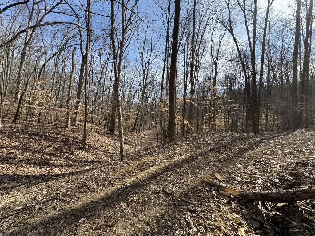 0 Hardwood Road Hillsboro KY 41049