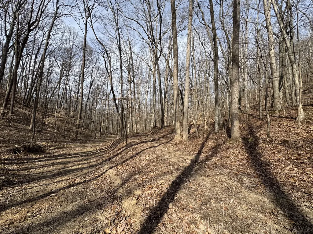 0 Hardwood Road Hillsboro KY 41049