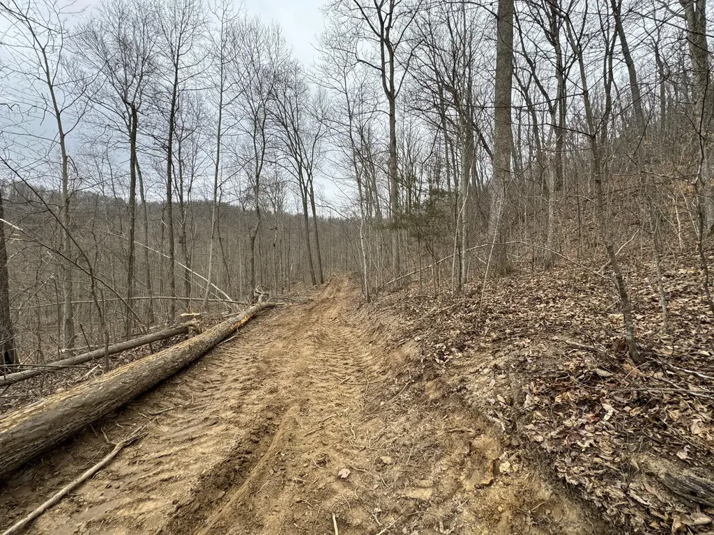 0 Hardwood Road Hillsboro KY 41049