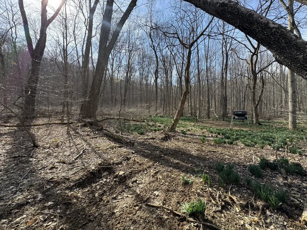 0 Hardwood Road Hillsboro KY 41049