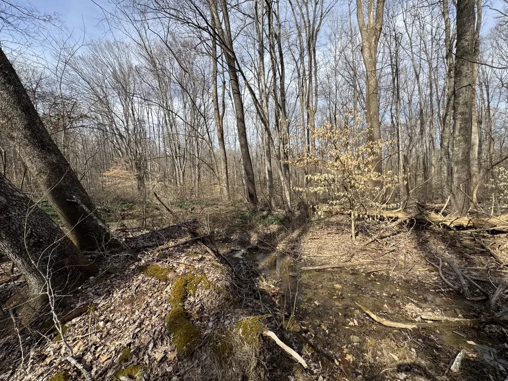 0 Hardwood Road Hillsboro KY 41049